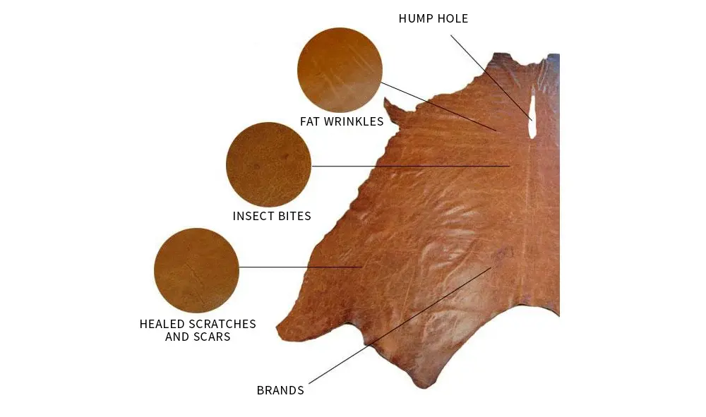 Leather hides on sale